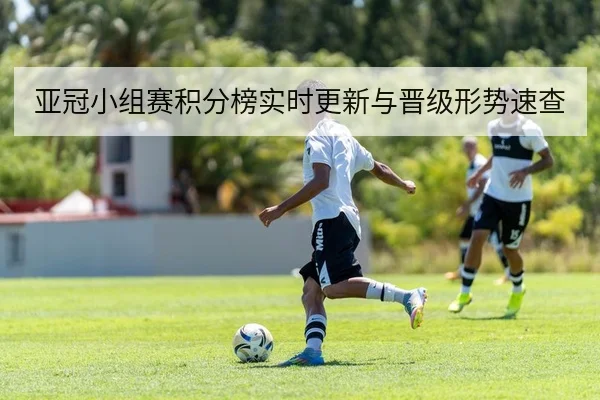 亚冠小组赛积分榜实时更新与晋级形势速查